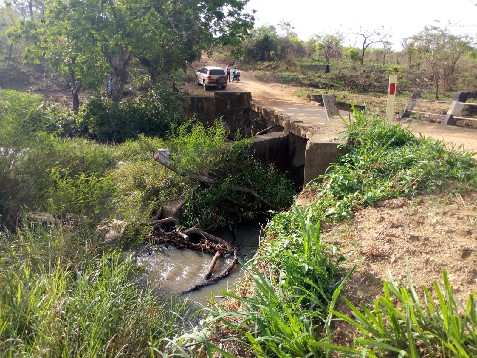 Feasibility of Selected Bridges in the West Nile Region